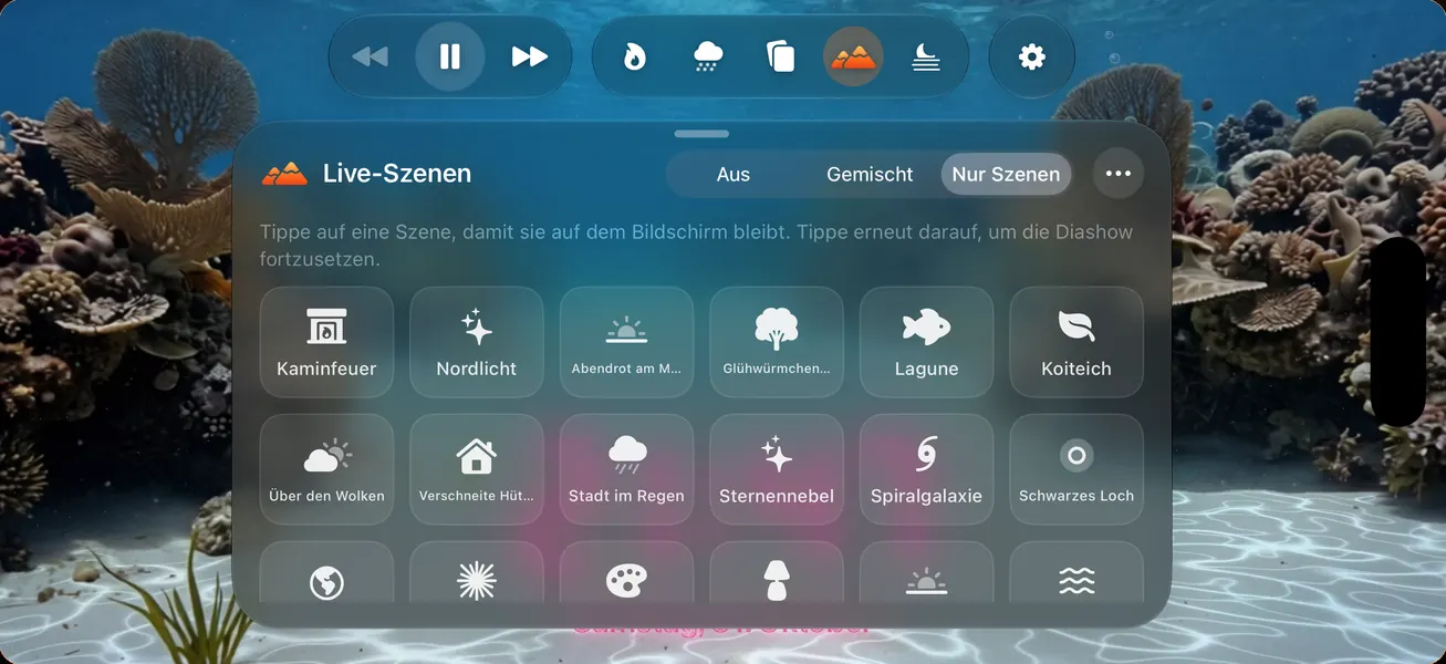 Eine Galerie voller Live-Szenen
