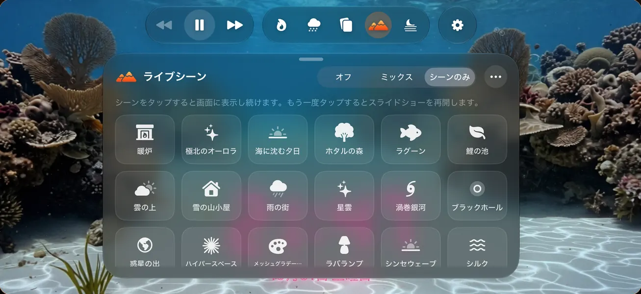 ライブシーンのギャラリー